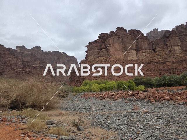 تبرز التكوينات الجبلية الرملية من أرض الصحراء في منطقة تبوك بالمملكة العربية السعودية. تخلق السماء الملبدة بالغيوم الرمادية إضاءة ناعمة ومنتشرة فوق التضاريس الصخرية البنية والأشجار الخضراء المتناثرة.