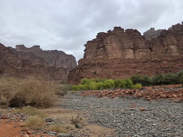 تبرز التكوينات الجبلية الرملية من أرض الصحراء في منطقة تبوك بالمملكة العربية السعودية. تخلق السماء الملبدة بالغيوم الرمادية إضاءة ناعمة ومنتشرة فوق التضاريس الصخرية البنية والأشجار الخضراء المتناثرة.