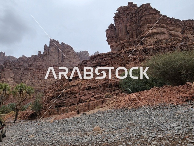 تبرز التكوينات الجبلية الرملية من أرض الصحراء في منطقة تبوك بالمملكة العربية السعودية. تخلق السماء الملبدة بالغيوم الرمادية إضاءة ناعمة ومنتشرة فوق التضاريس الصخرية البنية والأشجار الخضراء المتناثرة.