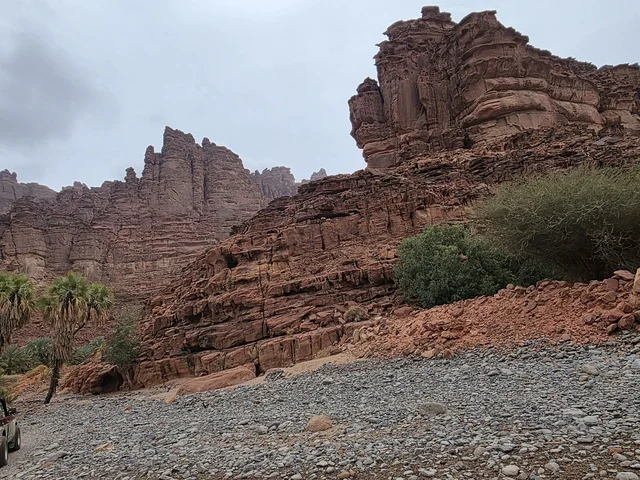 تبرز التكوينات الجبلية الرملية من أرض الصحراء في منطقة تبوك بالمملكة العربية السعودية. تخلق السماء الملبدة بالغيوم الرمادية إضاءة ناعمة ومنتشرة فوق التضاريس الصخرية البنية والأشجار الخضراء المتناثرة.