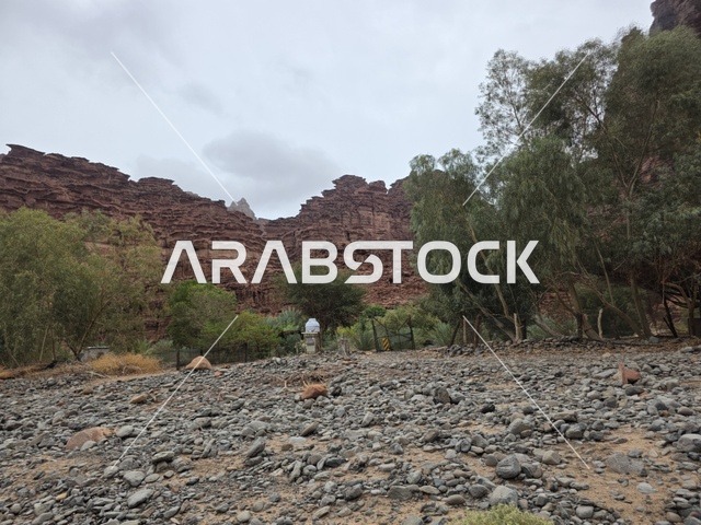 تبرز التكوينات الجبلية الرملية من أرض الصحراء في منطقة تبوك بالمملكة العربية السعودية. تخلق السماء الملبدة بالغيوم الرمادية إضاءة ناعمة ومنتشرة فوق التضاريس الصخرية البنية والأشجار الخضراء المتناثرة.