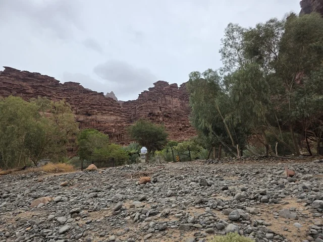 تبرز التكوينات الجبلية الرملية من أرض الصحراء في منطقة تبوك بالمملكة العربية السعودية. تخلق السماء الملبدة بالغيوم الرمادية إضاءة ناعمة ومنتشرة فوق التضاريس الصخرية البنية والأشجار الخضراء المتناثرة.