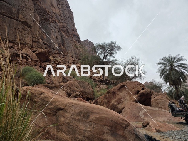 تبرز التكوينات الجبلية الرملية من أرض الصحراء في منطقة تبوك بالمملكة العربية السعودية. تخلق السماء الملبدة بالغيوم الرمادية إضاءة ناعمة ومنتشرة فوق التضاريس الصخرية البنية والأشجار الخضراء المتناثرة.