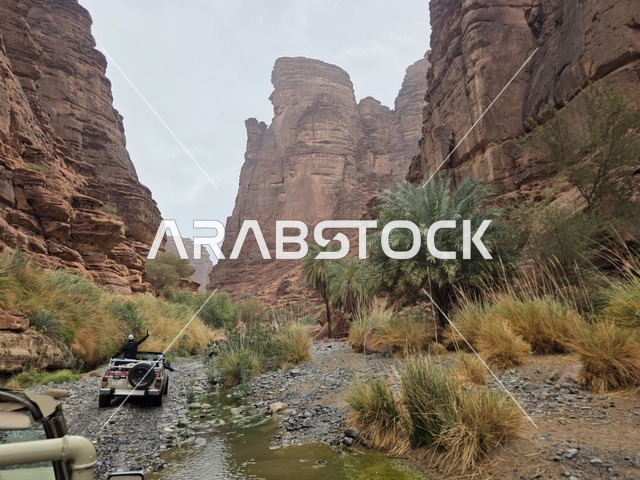 تبرز التكوينات الجبلية الرملية من أرض الصحراء في منطقة تبوك بالمملكة العربية السعودية. تخلق السماء الملبدة بالغيوم الرمادية إضاءة ناعمة ومنتشرة فوق التضاريس الصخرية البنية والأشجار الخضراء المتناثرة.