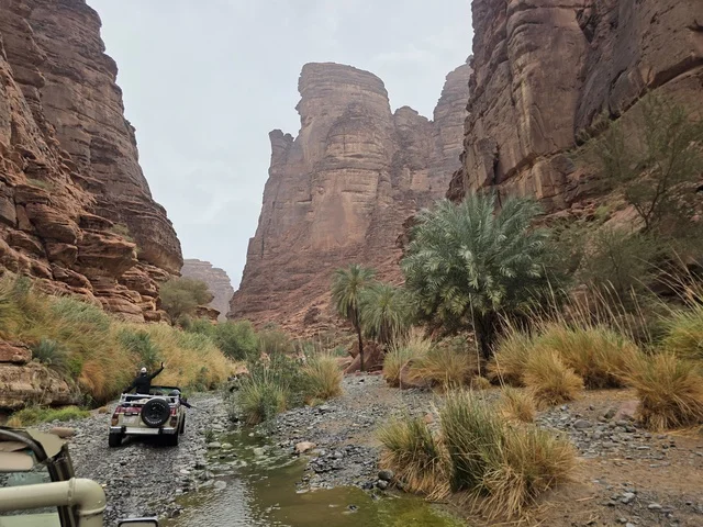 تبرز التكوينات الجبلية الرملية من أرض الصحراء في منطقة تبوك بالمملكة العربية السعودية. تخلق السماء الملبدة بالغيوم الرمادية إضاءة ناعمة ومنتشرة فوق التضاريس الصخرية البنية والأشجار الخضراء المتناثرة.