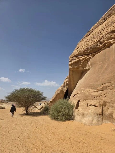 تشكيلات صخرية رملية طبيعية في صحراء العلا بالمملكة العربية السعودية. يوضح ضوء النهار التضاريس الجيولوجية والأرض الرملية تحت سماء صافية, السياحه في العلا