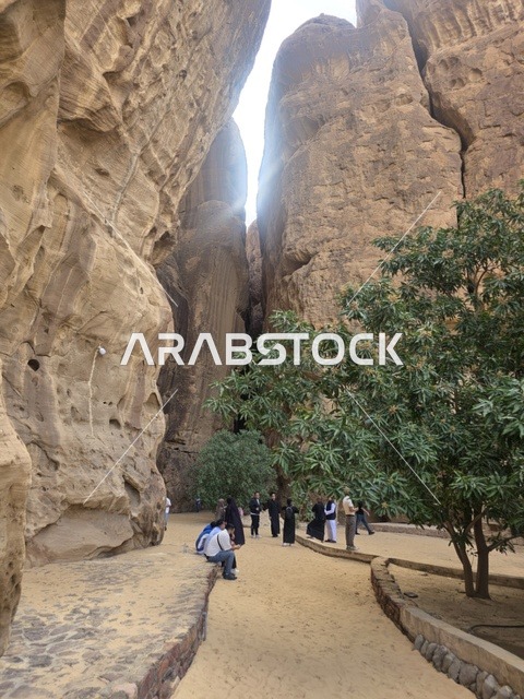 تشكيلات صخرية رملية طبيعية في صحراء العلا بالمملكة العربية السعودية. يوضح ضوء النهار التضاريس الجيولوجية والأرض الرملية تحت سماء صافية, السياحه في العلا