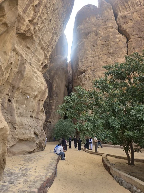 تشكيلات صخرية رملية طبيعية في صحراء العلا بالمملكة العربية السعودية. يوضح ضوء النهار التضاريس الجيولوجية والأرض الرملية تحت سماء صافية, السياحه في العلا