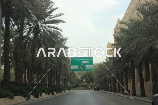 شوارع الرياض مع أشجار النخيل ولوحة إرشادية