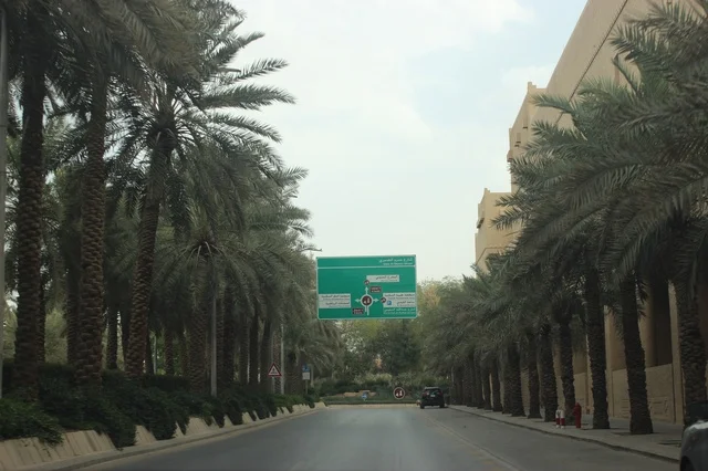 شوارع الرياض مع أشجار النخيل ولوحة إرشادية