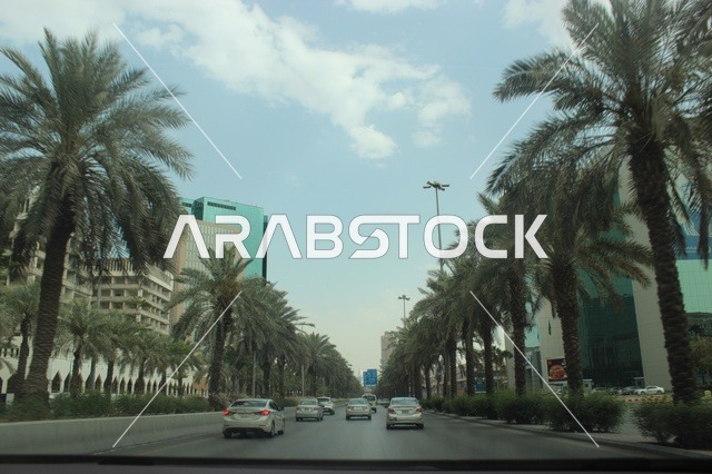 Riyadh Saudi Arabia Street with Palm Trees and Skyscrapers