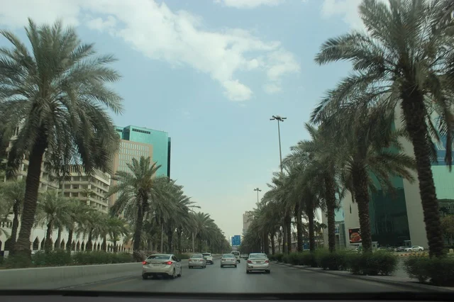 شوارع الرياض في السعودية مع النخيل وناطحات السحاب