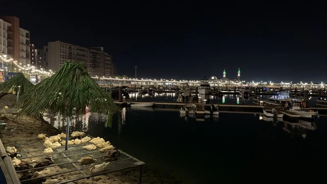 Jubail Waterfront Marina Night with City Lights