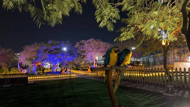 حديقة العجائب الجبيل إضاءة ليلية ومجسمات