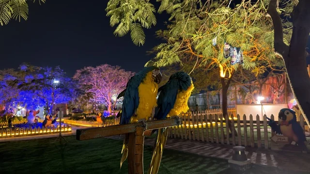 حديقة العجائب الجبيل مجسمات الببغاوات ليلاً
