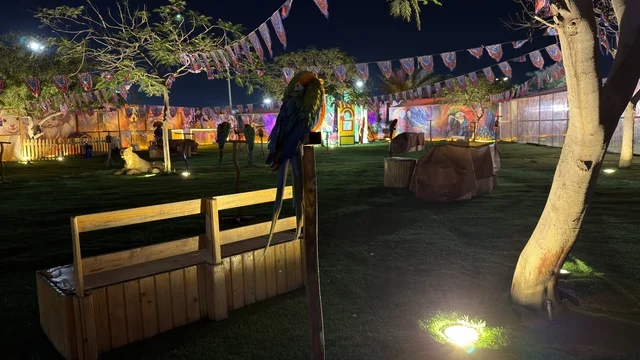 إضاءة حديقة العجائب في الجبيل ليلاً