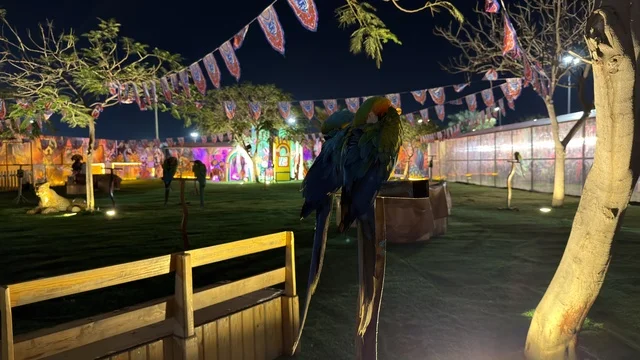 ببغاوات في حديقة العجائب بالجبيل خلال فعالية ليلية