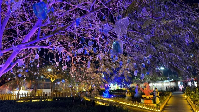 إضاءة حديقة العجائب في الجبيل ليلاً