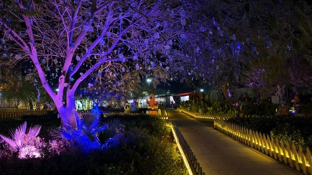 حديقة العجائب الجبيل الأشجار المضيئة ليلاً