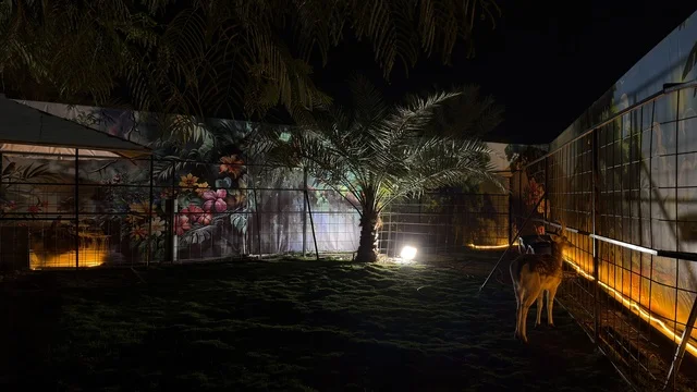 حديقة العجائب الجبيل ليلاً مع الإضاءة