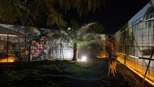 إضاءة حديقة العجائب في الجبيل ليلاً بالمملكة العربية السعودية