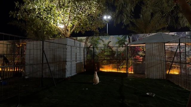 حديقة العجائب الجبيل السعودية في الليل