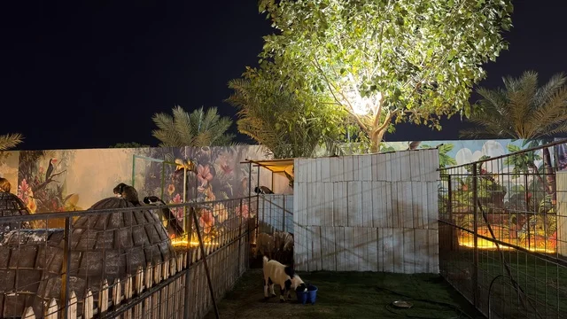 Goats at Wonder Garden Jubail Petting Zoo at Night
