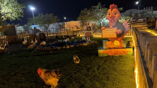 حديقة العجائب بالجبيل حظيرة الدواجن ليلاً