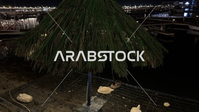 منظر ليلي لفعالية ألوان الجبيل على الممشى البحري في المملكة العربية السعودية. تضيء حبال الزينة الممشى المخصص للمشاة بجانب المباني السكنية الحديثة وأشجار النخيل.