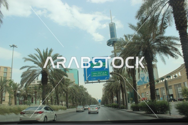 Riyadh City Road with Palm Trees and Street Signs