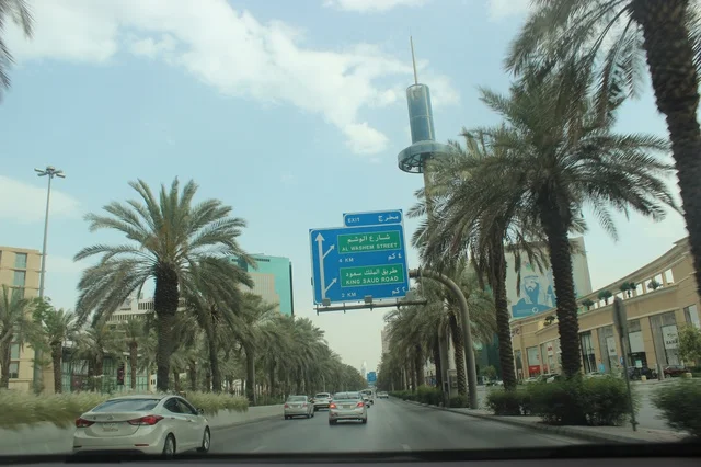 Riyadh City Road with Palm Trees and Street Signs