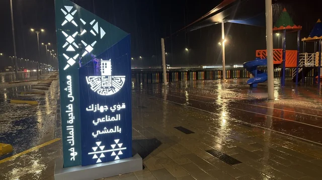 King Fahd Suburb Walkway on a Rainy Night