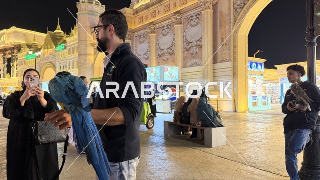 ببغاء مكاو في القرية العالمية بدبي ليلاً