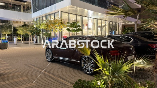 Luxury Car Parked Outside Modern Commercial Plaza at Night