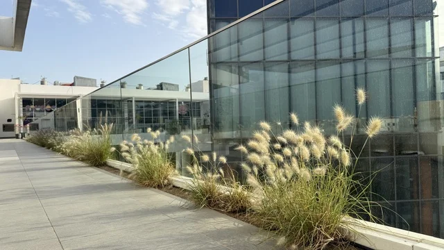 تراس مبنى إداري زجاجي حديث مع أعشاب زينة خارجية