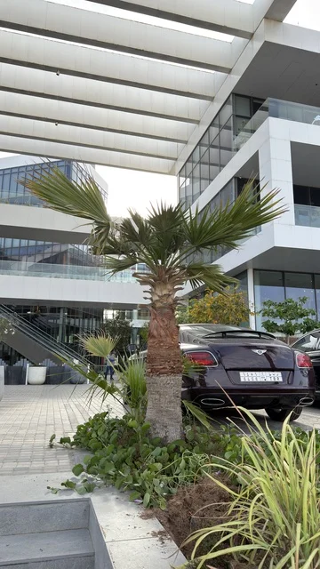 سيارة فاخرة مركونة بجانب مباني تجارية حديثة