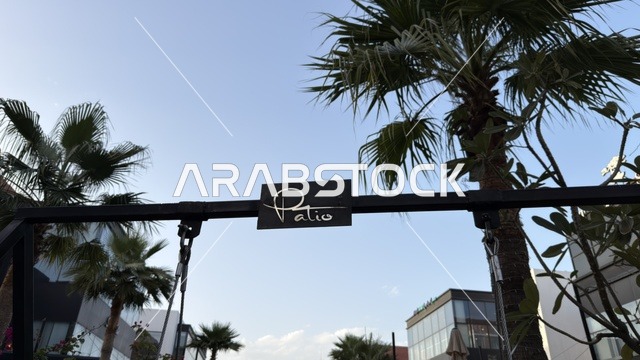 لوحة باتيو مع أشجار النخيل ومباني حديثة