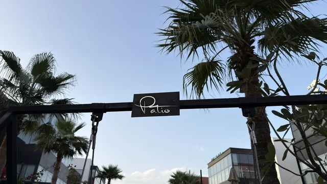 لوحة باتيو مع أشجار النخيل ومباني حديثة