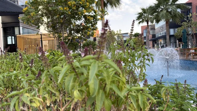 Modern Commercial Plaza with Garden and Water Fountain