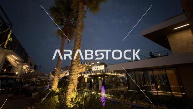 مجمع تجاري حديث مع أشجار النخيل ليلاً