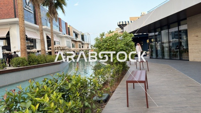 مول خارجي حديث مع قناة مائية وأشجار نخيل