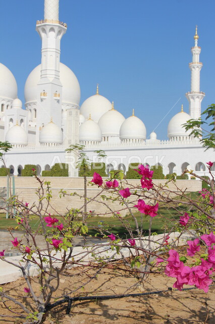 مسجد الشيخ زايد بن سلطان آل نهيان في مدينة أبو ظبي ، جمال التصاميم المعمارية الاسلامية في المسجد الكبير، اماكن دينية في الامارات العربية المتحدة ، اسلاميات وعبادة 