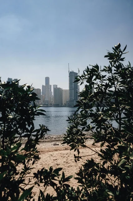 Dubai City Skyline and Beach View Through Green Trees