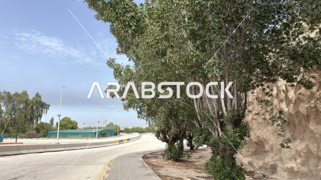 طريق الدمام مع الأشجار والمنحدر الصخري في النهار