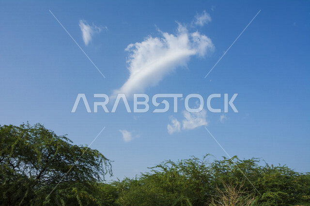 صورة مقربة لغيمة في وسط السماء، جمال سماء المملكة العربية السعودية، مناظر طبيعية، الأشجار والنباتات الخضراء، الطبيعة في السعودية