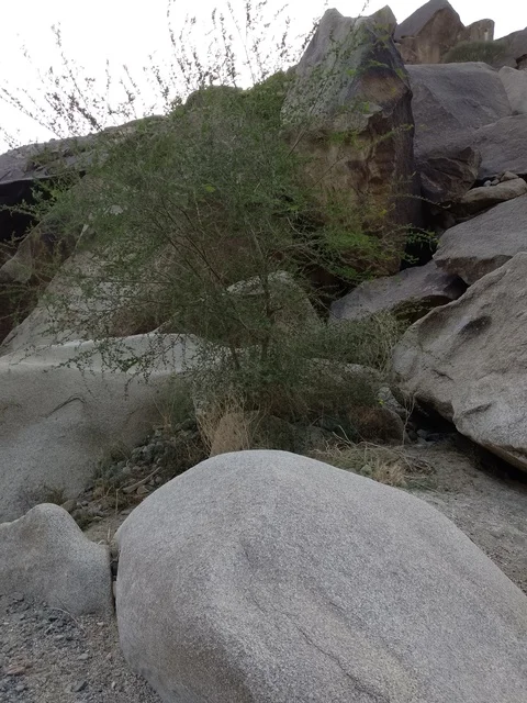 Granite Rocks and Mountain Landscape Al Baha Saudi Arabia