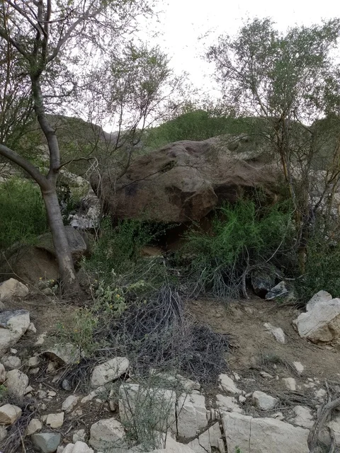 Natural Rock Formation and Vegetation in Al Baha Mountains