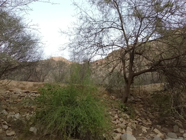 Rocky Mountainous Landscape in Al Bahah Saudi Arabia