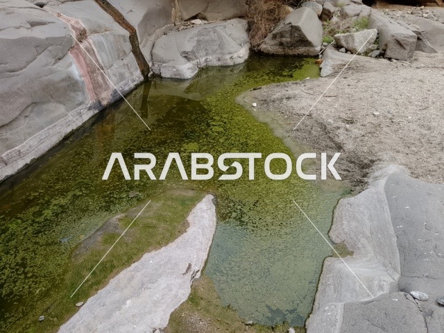 Algae Pool in Al-Baha Saudi Arabia Wadi Landscape