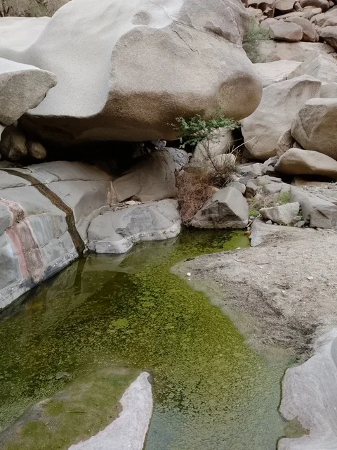 Rocky Wadi in Al Baha with Green Water Pool